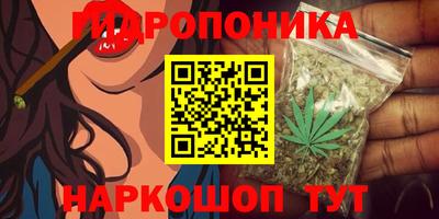 ALPHA PVP Коммунар