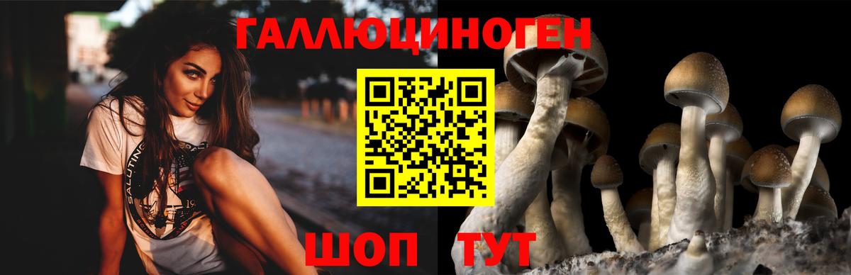 Псилоцибиновые грибы GOLDEN TEACHER  Вход с VPN  Конаково 